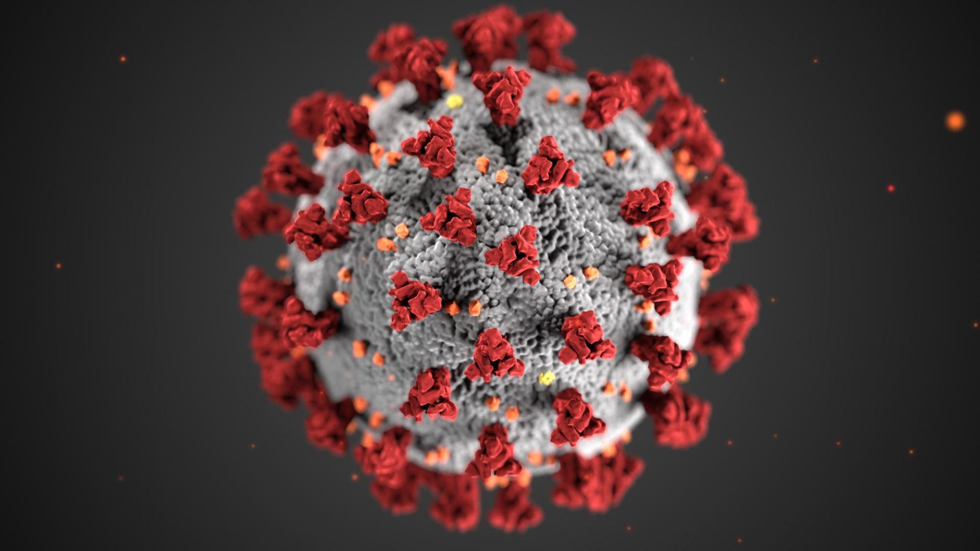 Image of the COVID 19 Virus