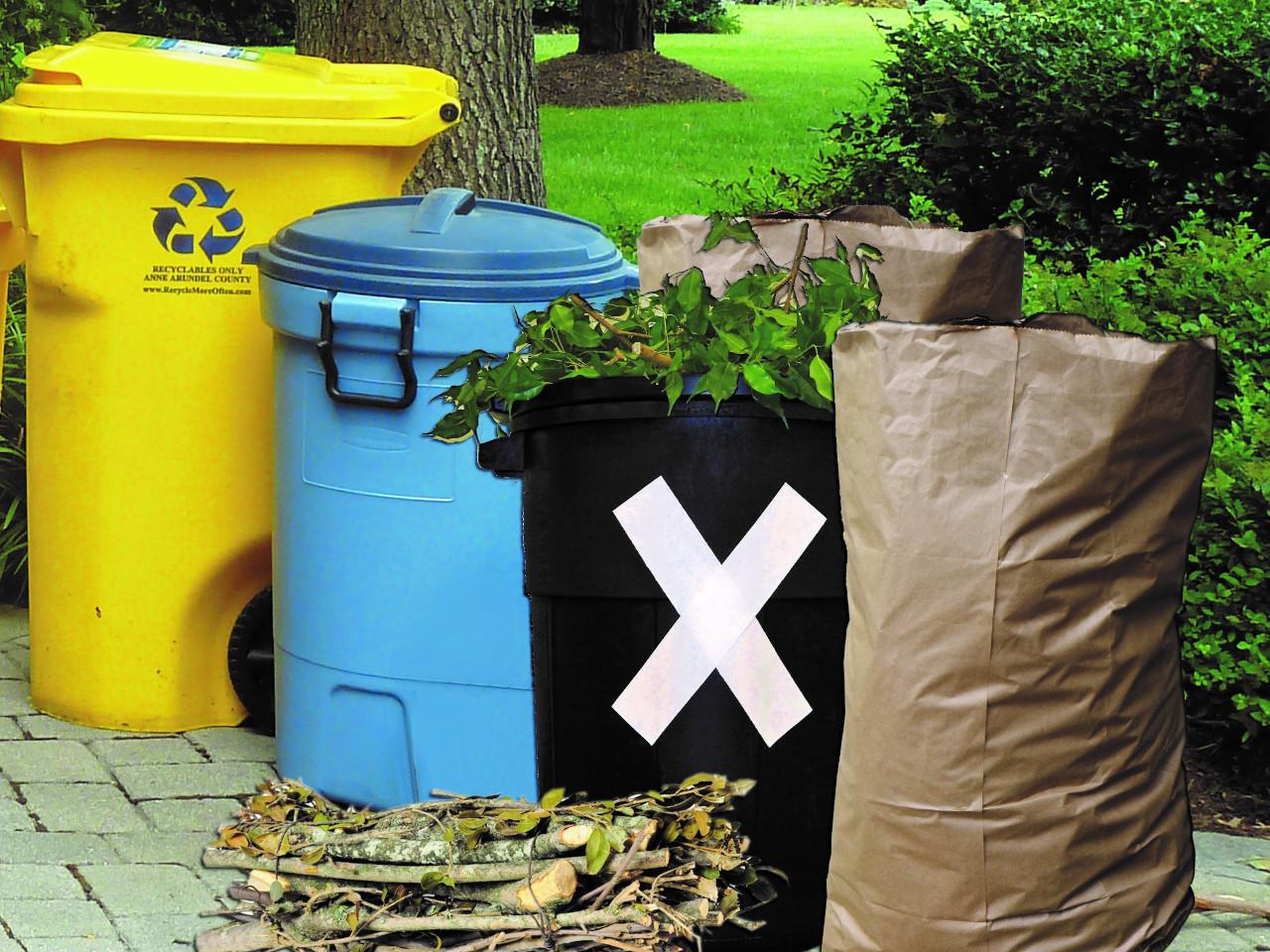 Trash, Recycling, and yard waste at curbside