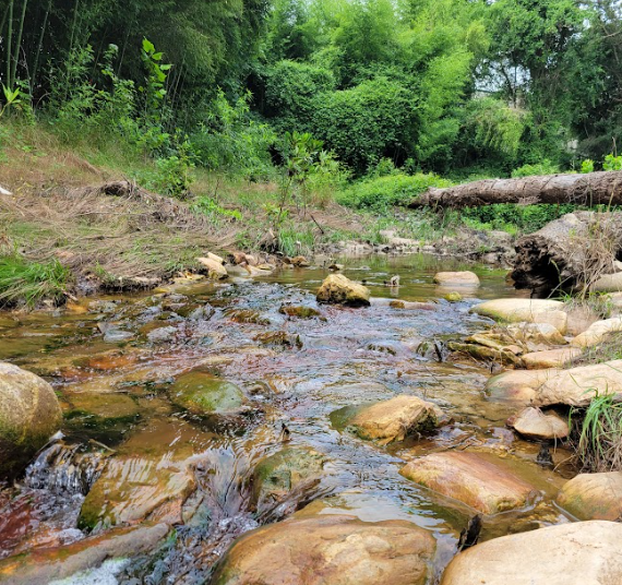 ferndale-stream-restoration.png