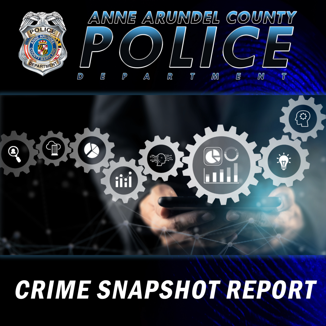 Graphic for Crime Shapshot Report