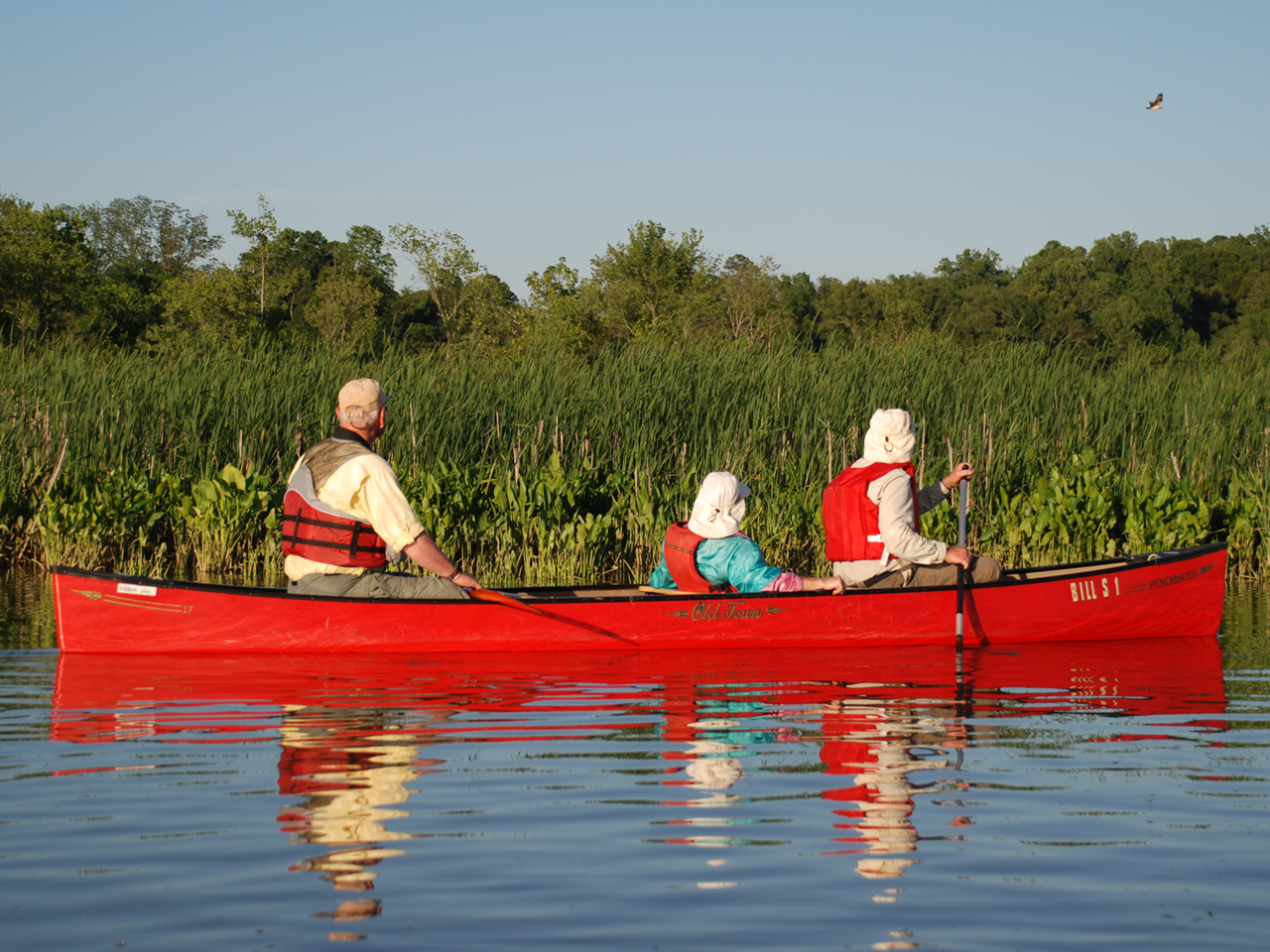 Family canoeing at Jug Bay Wetlands Sanctuary