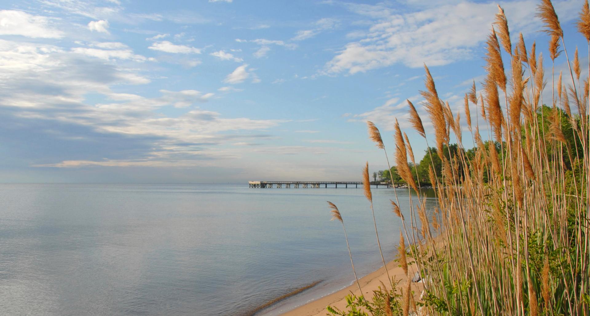 Calm water on the coastline