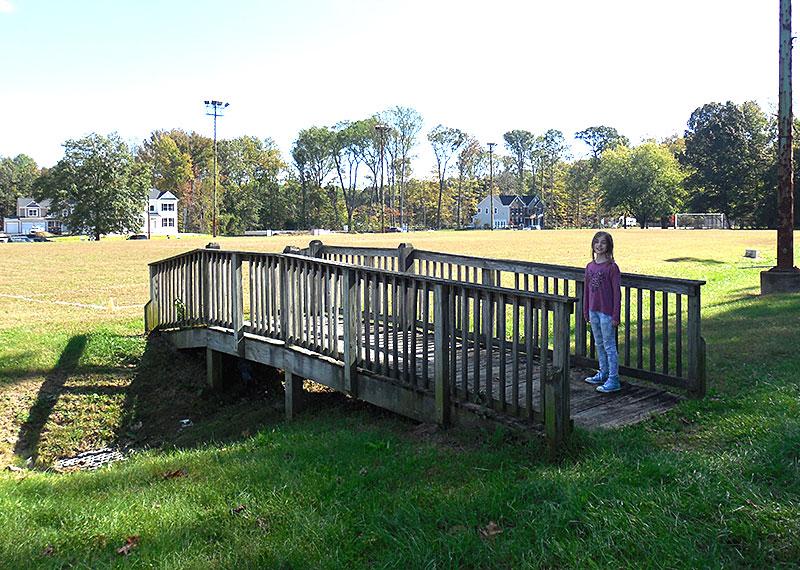 wooden bridge in park