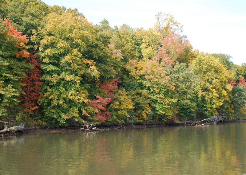 Patuxent-River-Greenway.jpg Patuxent River