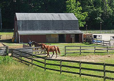 Andy Smith Equestrian Center