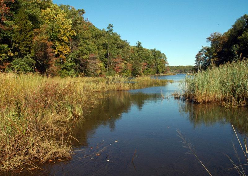 Arlington Echo Outdoor Education Center