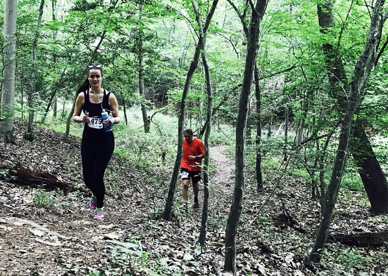 wooded trail