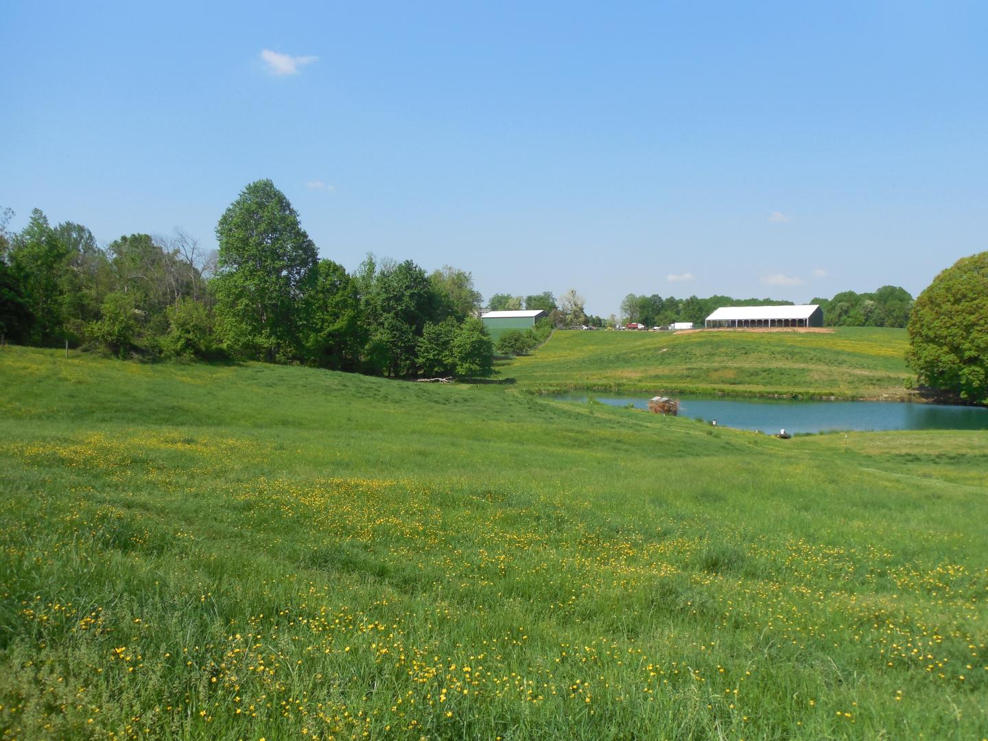 Lothian farm in the Rural Legacy Program