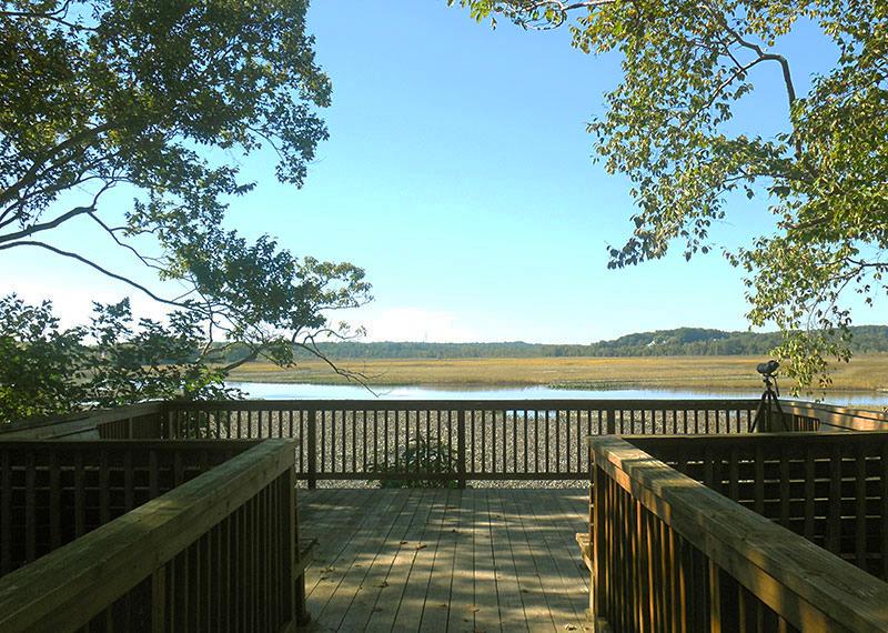 Jug Bay Wetlands Sanctuary