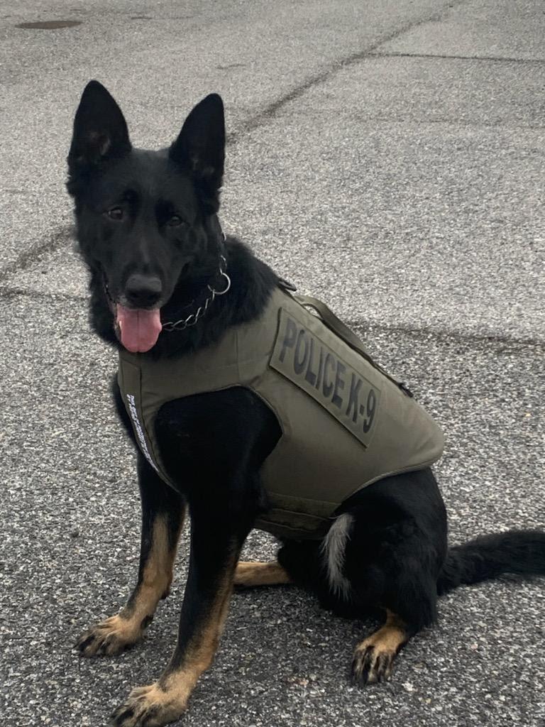 AACOPD K9