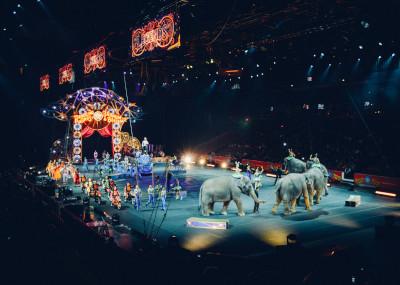 Circus