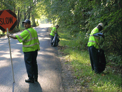 Litter pickup