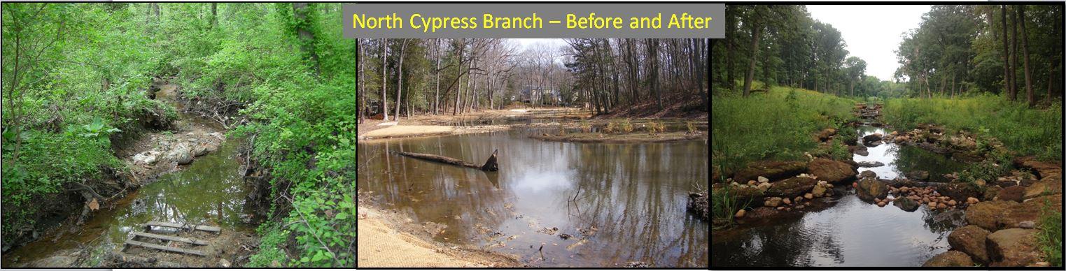 North Cypress Before & After