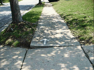 Cracking sidewalk