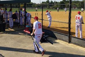 Adult Baseball League at Bachman Sports Complex