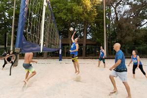 Adult Volleyball League