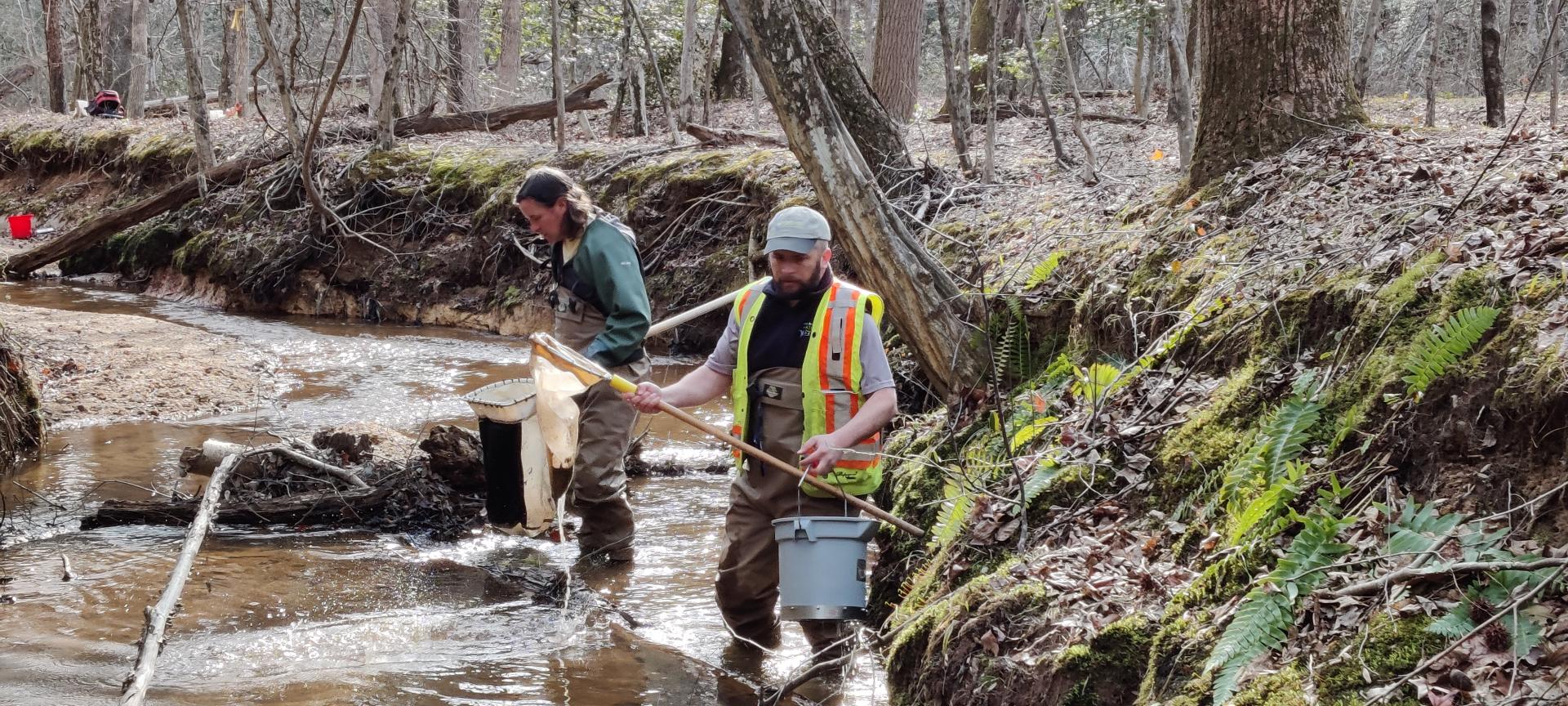 Workers in stream collecting samples