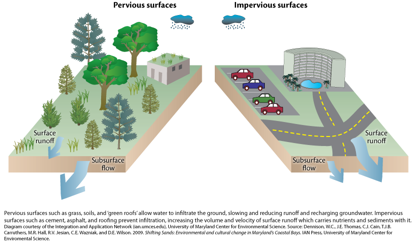Pervious vs. Impervious Surfaces Graphic
