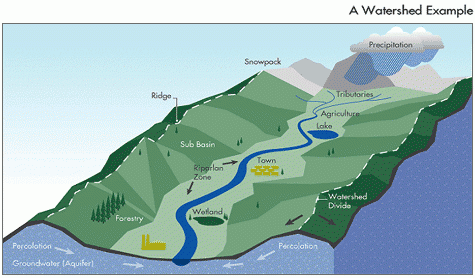 Diagram of a Watershed