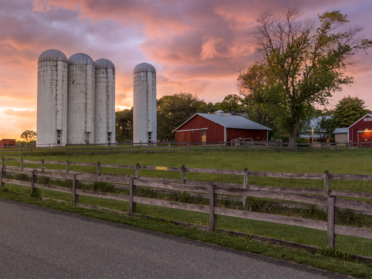 Kinder Farm Park