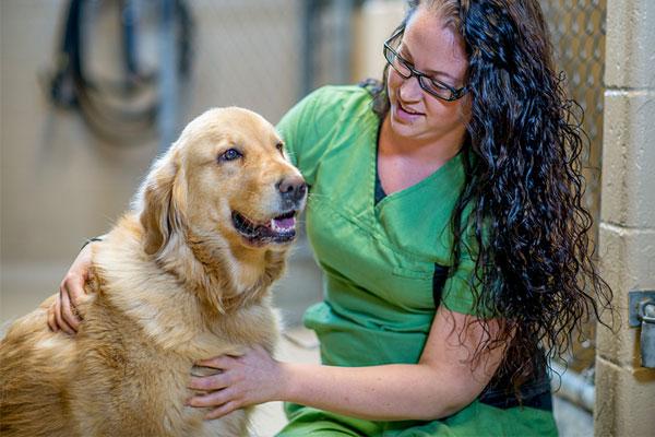 Nurse with dog