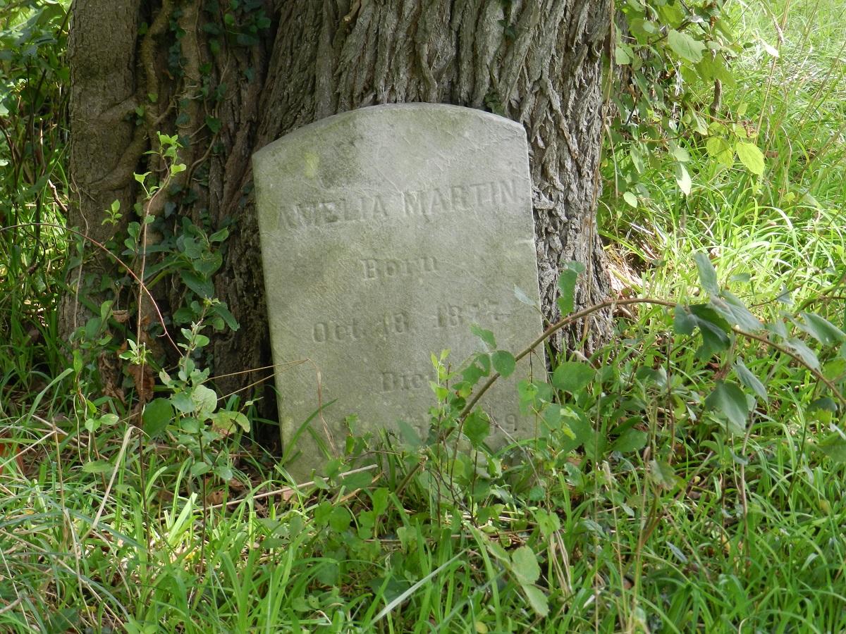 African American Historic Cemetery Preservation