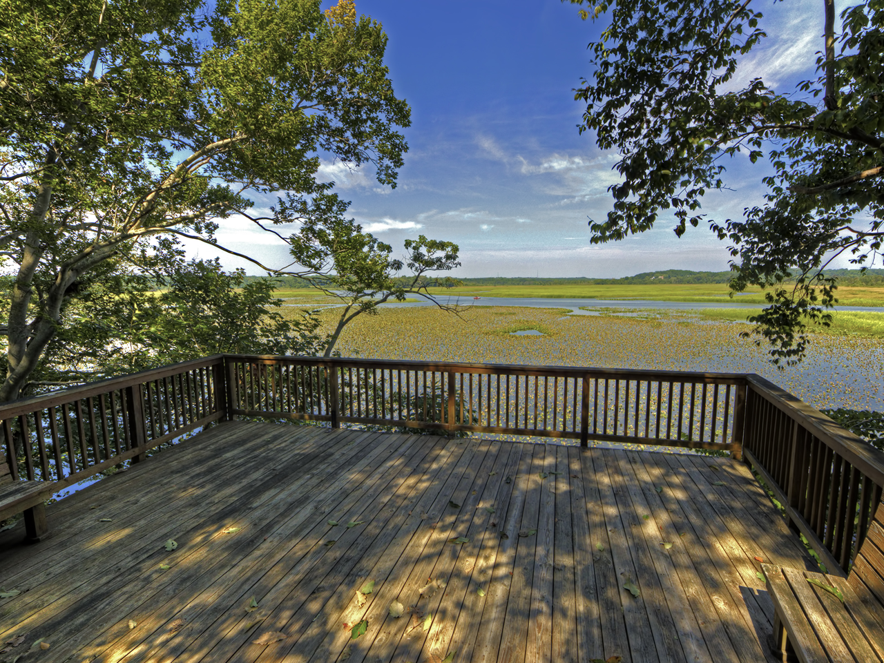 Jug Bay Wetlands Sanctuary