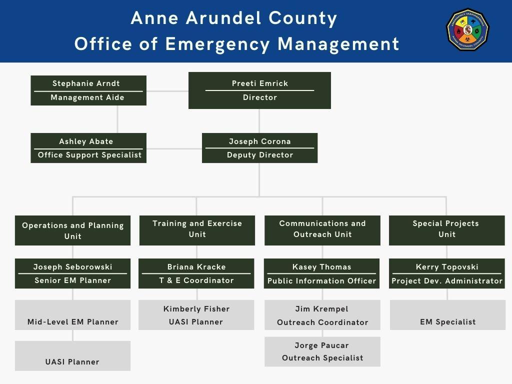 Organization Chart for OEM