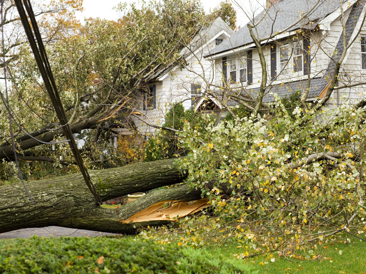 Severe Weather and Tornado 