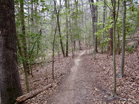 Trail at Bacon Ridge