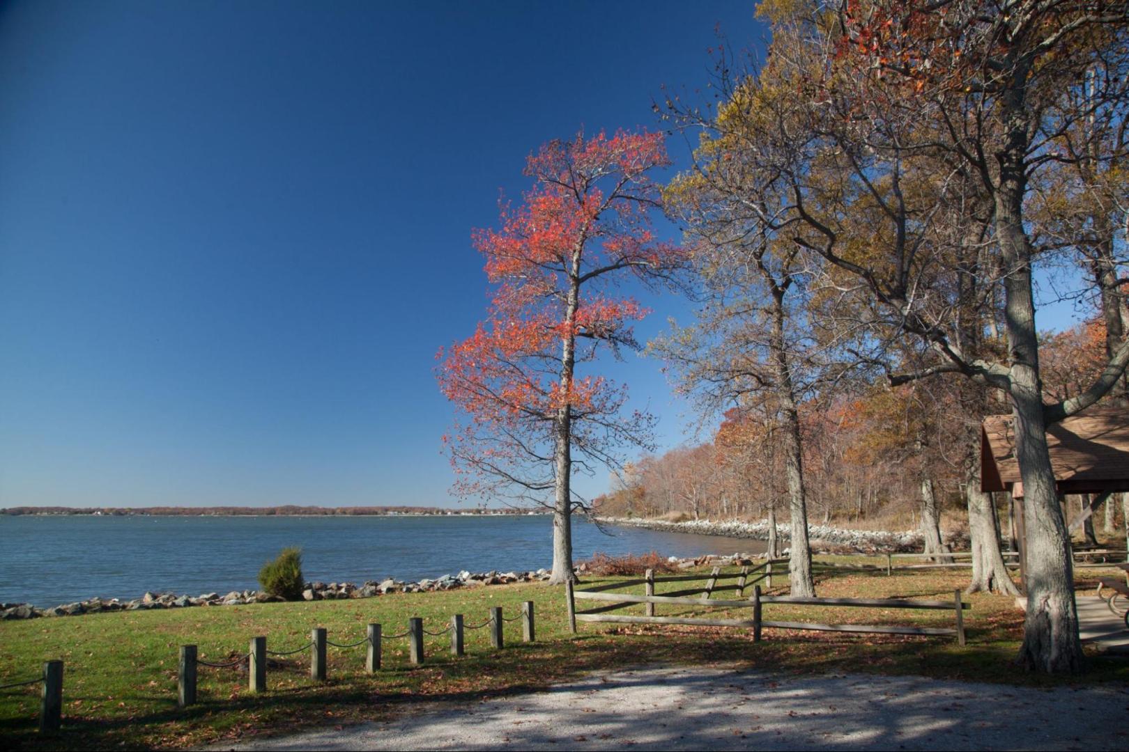 Park by the water