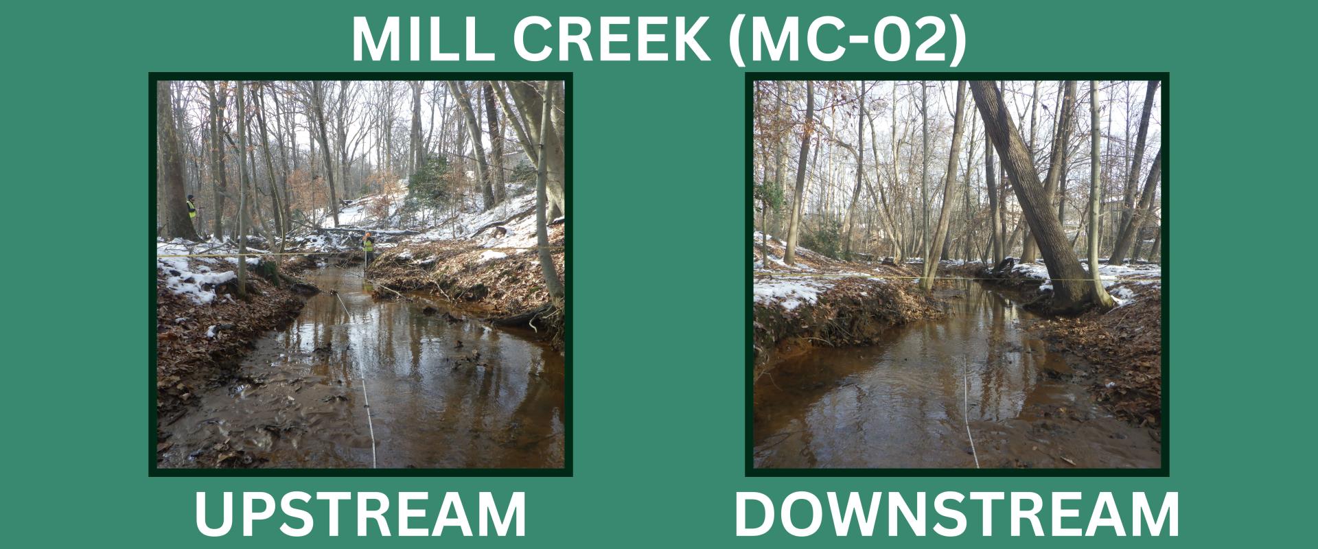 mc02-photo