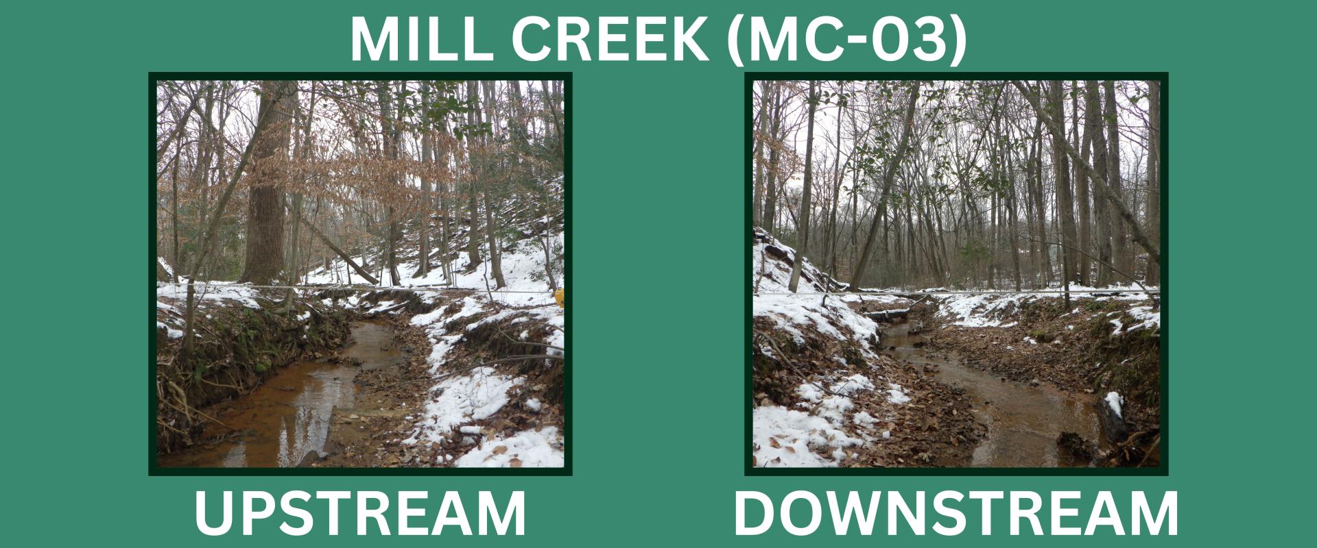 mc03-photo