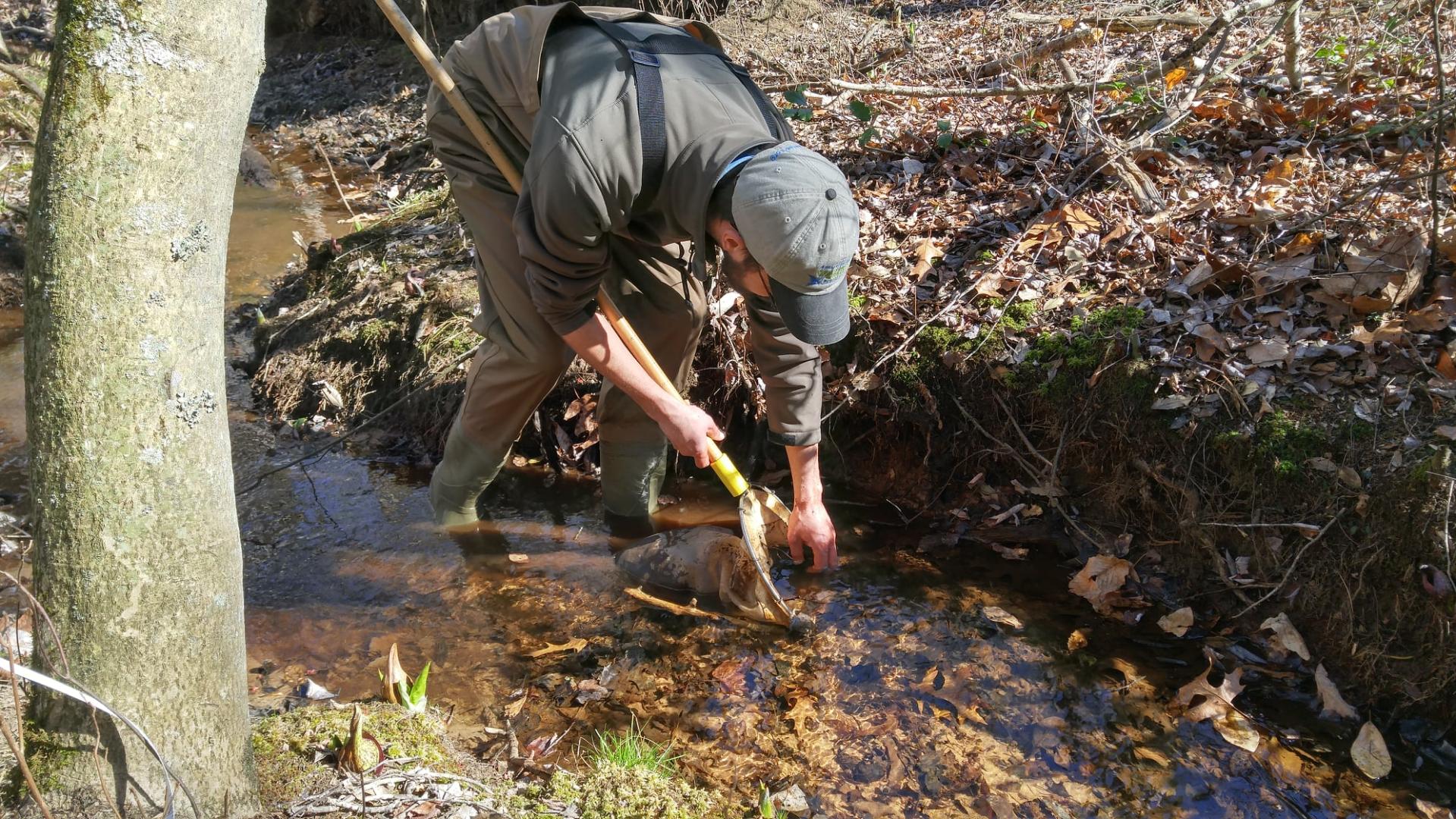 biological monitoring