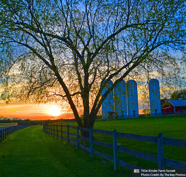 Kinder Farm Park