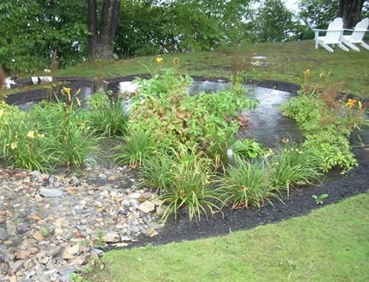 rain-garden