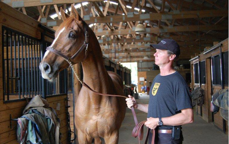 Steuart Pittman standing next to horse