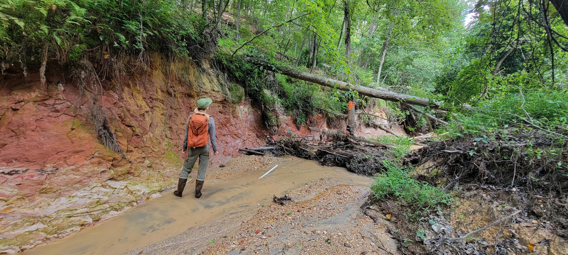 Damaged Jabez Branch Waterway