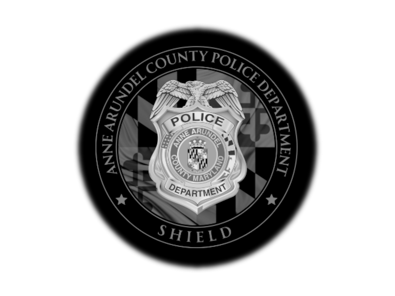 Shield Badge