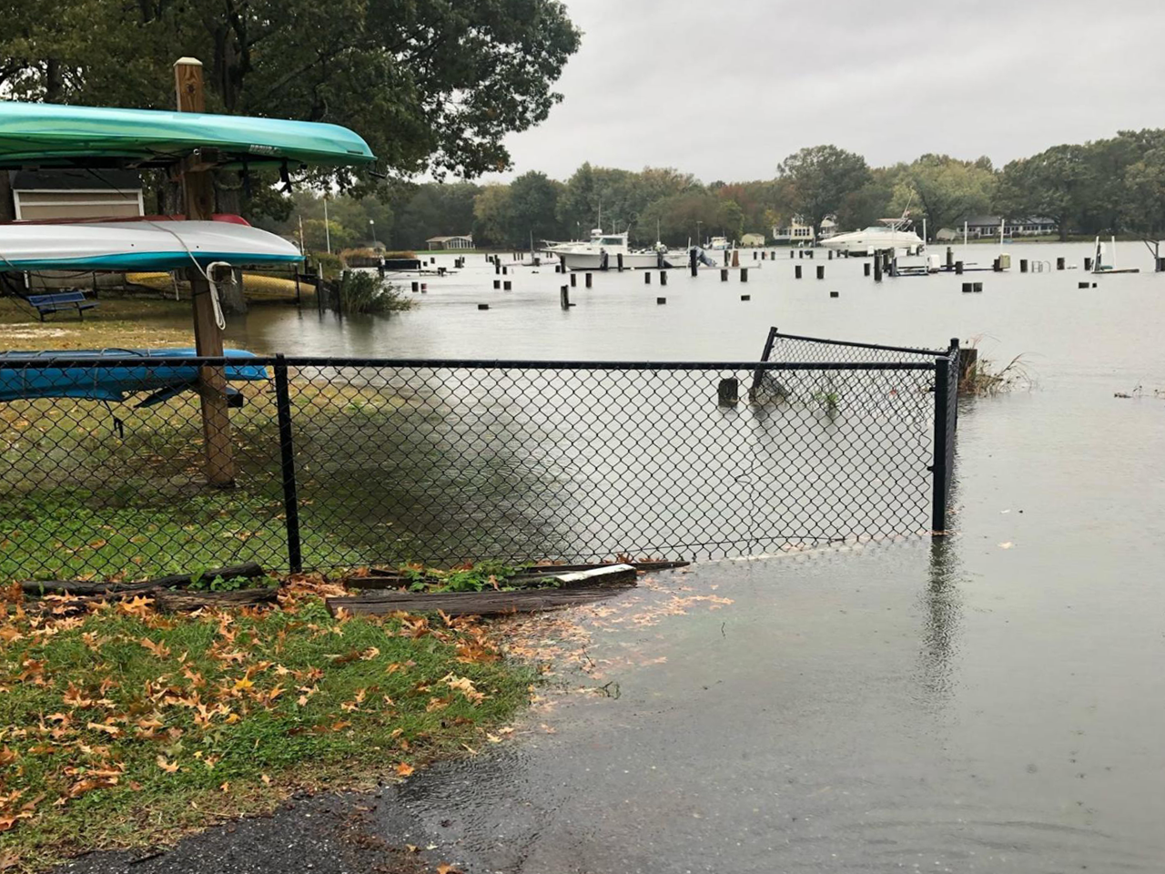 rising sea levels shoreline by river