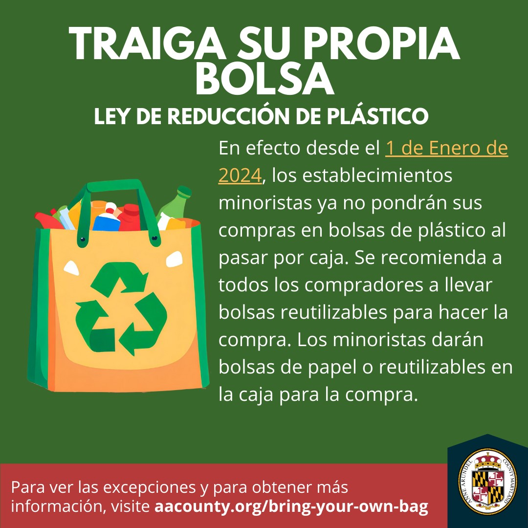 Bag Ban Info Card - Spanish