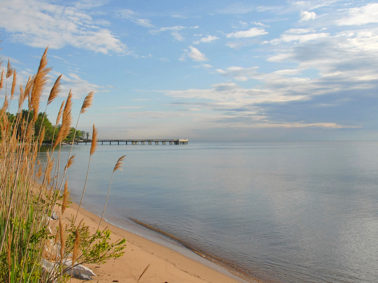 bay and pier