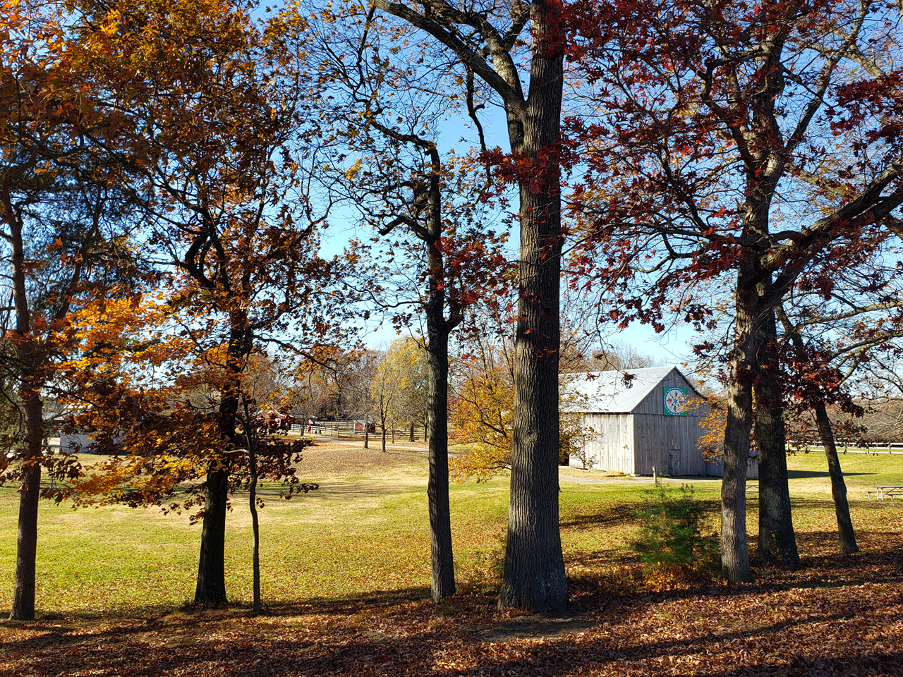 Kinder Farm Park Barn