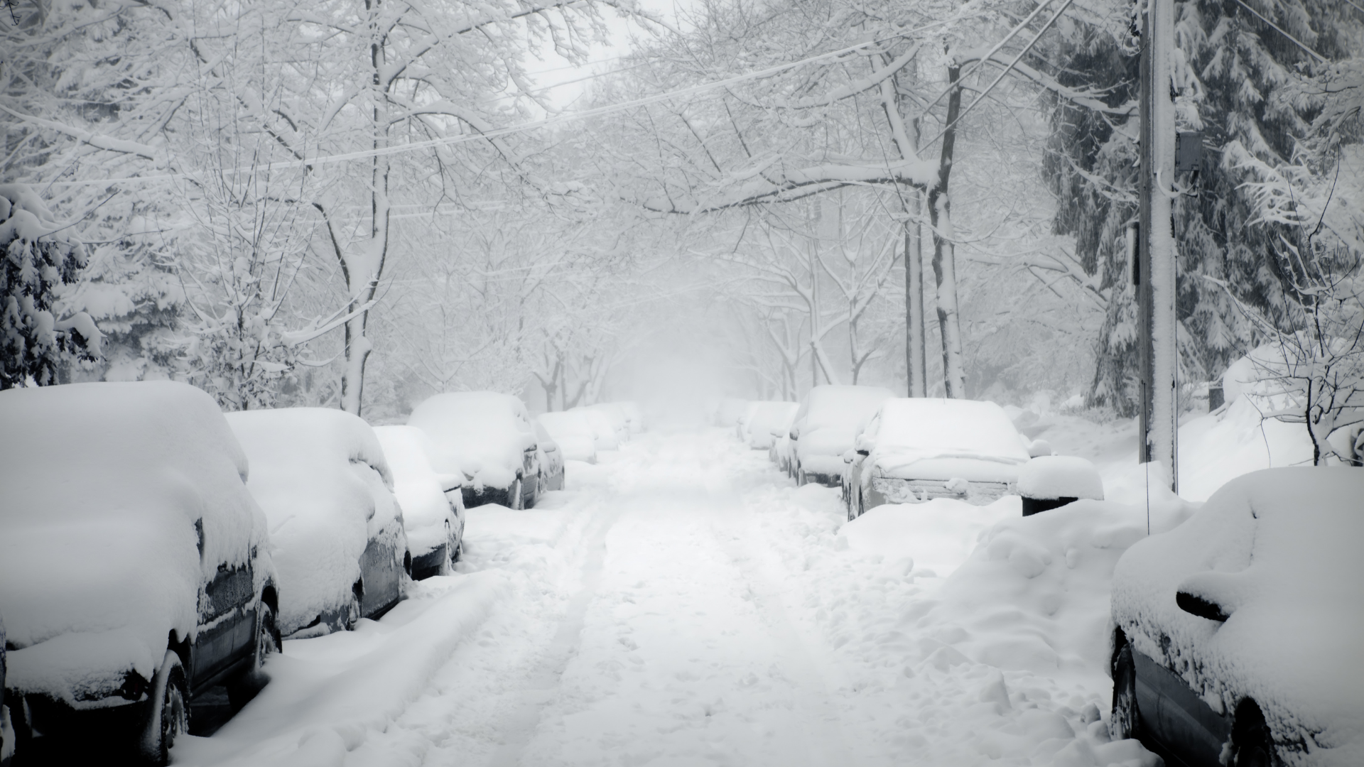 Cars Covered Snow