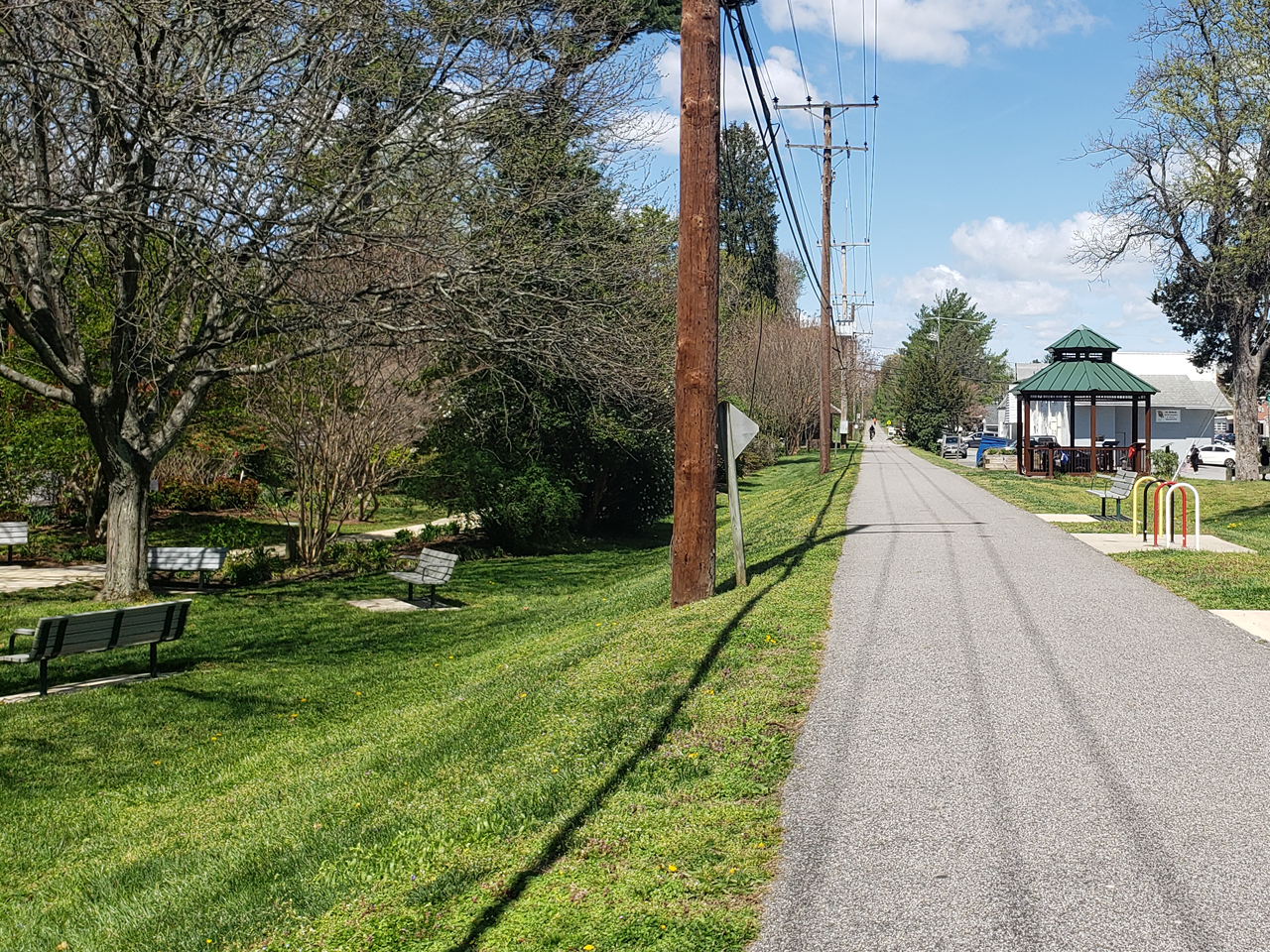 Paved trail next to trees