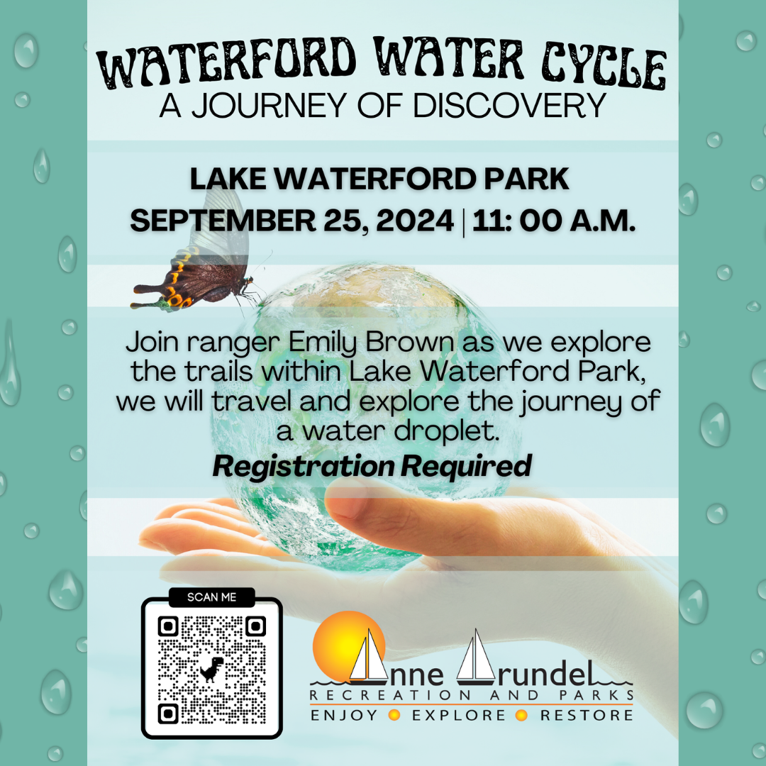 Explore the Waterford Water Cycle