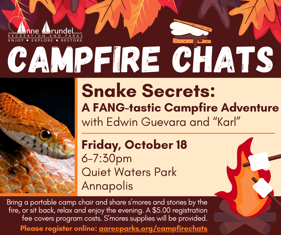 Camp Fire Chats - Friday, October 18