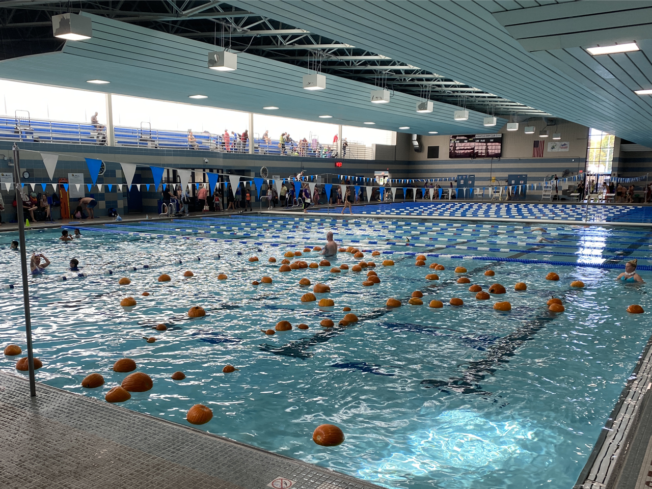 Pumpkin Plunge - October 26, 2024