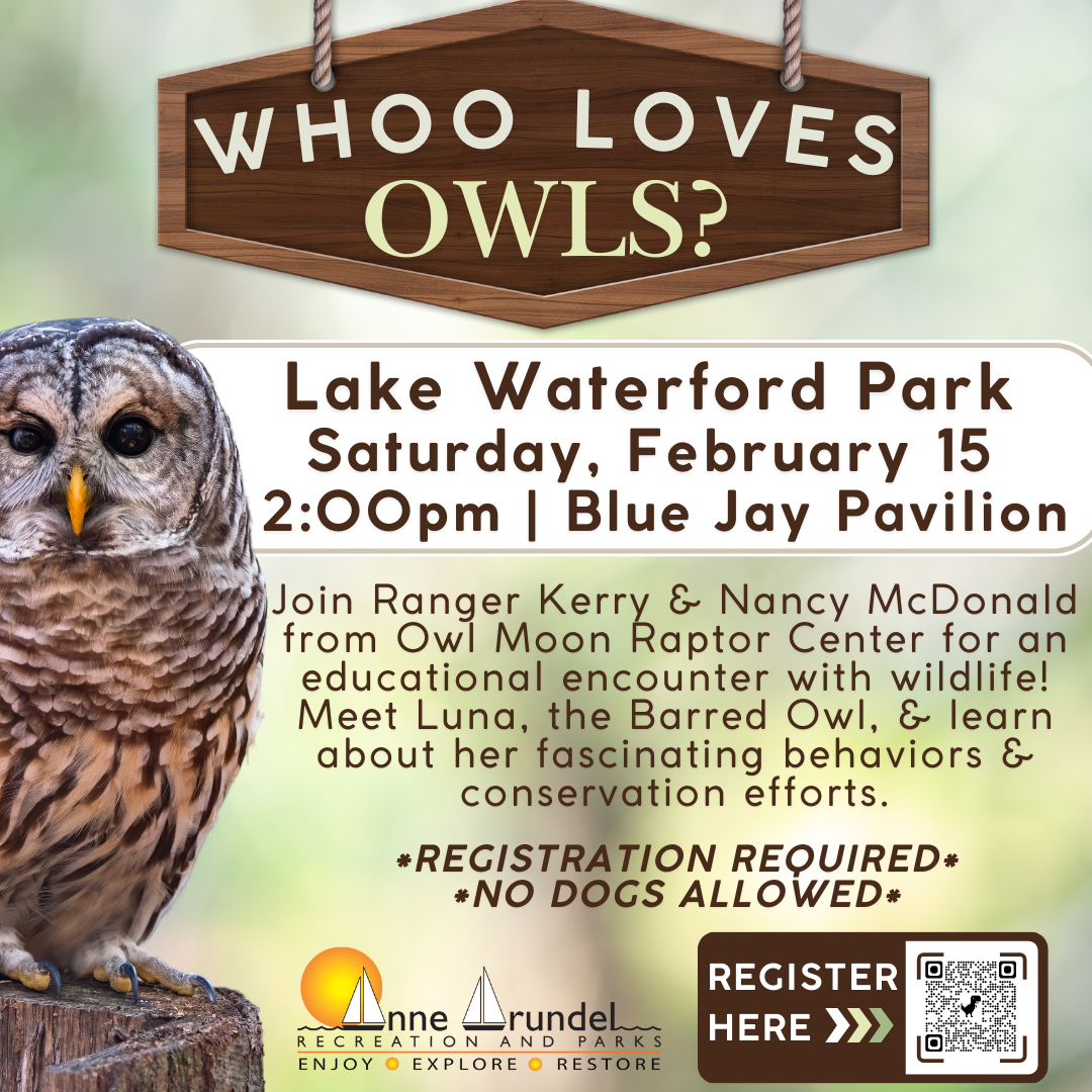 Whoo Loves Owls Saturday, February 15, 2025