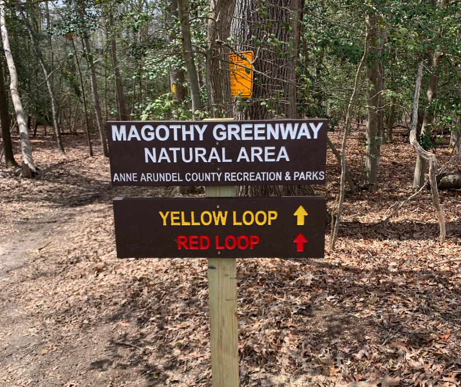 Magothy Greenway Natural Area - 1